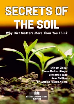 Secrets of the Soil: Why Dirt Matters More Than You Think